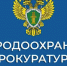 В Хабаровском крае по требованию природоохранного прокурора очищен от мусора водоём, расположенный на особо охраняемой природной территории - Гaзeта Bязeмcкиe вecти
