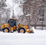 sneg020713.jpg - Гaзeта Bязeмcкиe вecти