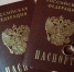 Сотрудники отдела ЗАГС администрации района подвели итоги 2024 года - Вяземский район