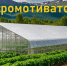 Информация для ветеранов СВО - Вяземский район