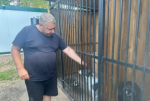 С 1 августа приступил к деятельности по исполнению госполномочий новый подрядчик по отлову и содержанию безнадзорных животных на территории Вяземского района. По итогам электронного аукциона им стал предприниматель Виктор Викторович Огородников.