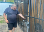 С 1 августа приступил к деятельности по исполнению госполномочий новый подрядчик по отлову и содержанию безнадзорных животных на территории Вяземского района. По итогам электронного аукциона им стал предприниматель Виктор Викторович Огородников.