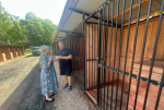 С 1 августа приступил к деятельности по исполнению госполномочий новый подрядчик по отлову и содержанию безнадзорных животных на территории Вяземского района. По итогам электронного аукциона им стал предприниматель Виктор Викторович Огородников.