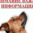 Памятка по вопросу отлова безнадзорных животных - Вяземский район