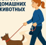 Правила выгула домашних животных: что нужно знать каждому владельцу - Вяземский район